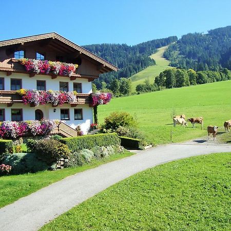 Appartement Sixenhof à Niederau Extérieur photo