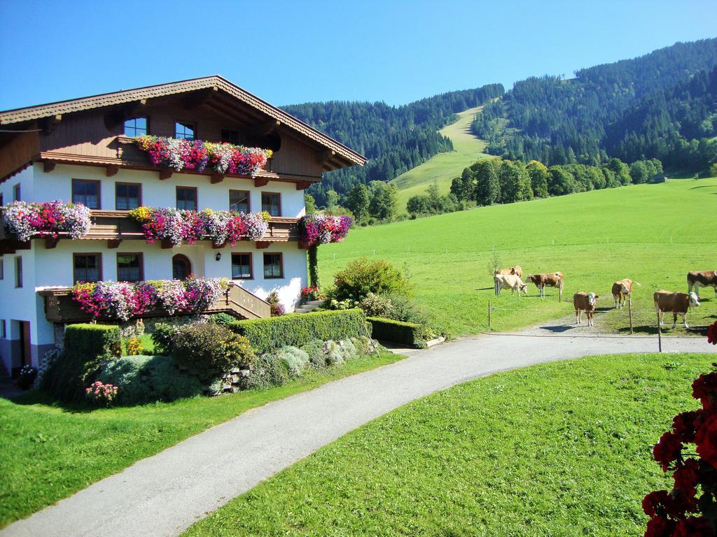 Appartement Sixenhof à Niederau Extérieur photo