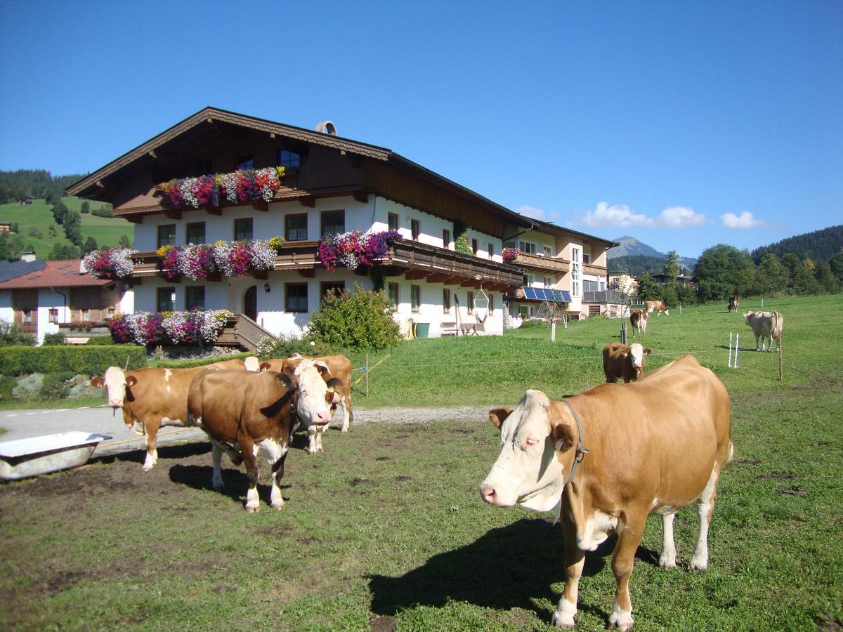 Appartement Sixenhof à Niederau Extérieur photo