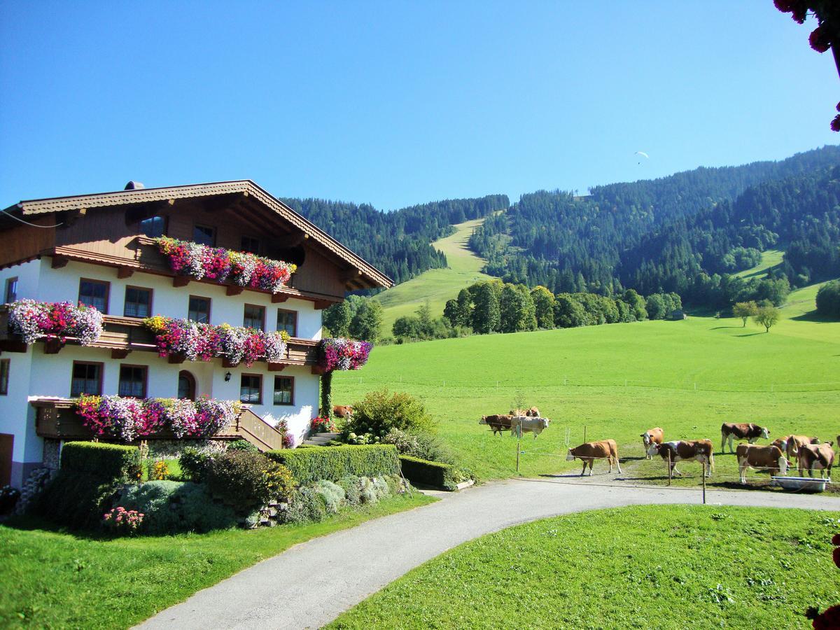 Appartement Sixenhof à Niederau Extérieur photo